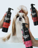 Kit Cronograma de Pelagem Para Pets Pro 3 itens  (Ego) 500ml Banho e Tosa Bubbles