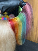 Kit Collora Máscara Pigmentadora + Kit Aplicador Para Pets Banho e Tosa Bubbles