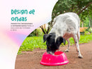 Comedouro para cachorro Stark.BOWL 350ml 550ml 1000ml 1900ml Atóxico Antiderrapante Fácil de limpar –  Stark Pet
