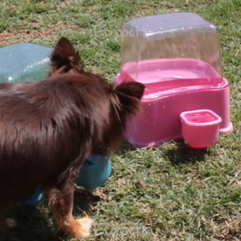 Bebedouro Automático Para Cães e Gatos 2,3L Com Filtro Petlon