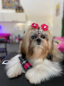 Sérum Pet Liso Intenso Pro (Ego) 100ml Cães e Gatos Banho e Tosa Bubbles