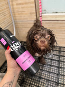 Shampoo Pet Dermo Facial Pro (Ego) 1L Cães e Gatos Banho e Tosa Bubbles